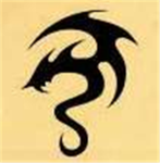 Shadow clan (S.C)