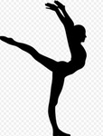 Brussells gymnastics
