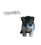 0Cha0s