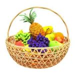 -FRUIT FAM-