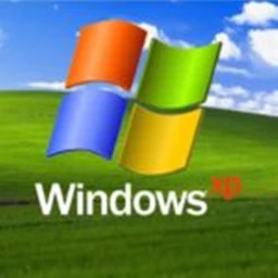 windows xp  icon