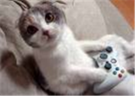 newgamer99's group