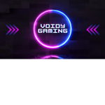 Voidy Gaming Group
