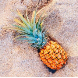 The official pineapple obby!