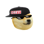Doge Nation For Life