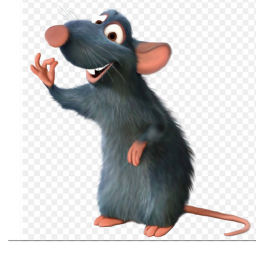 Rats rp place infest humans rats vs cats and Human
