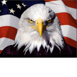America The Great and Beautiful
