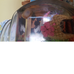 Cute fishy