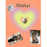 My cats for life