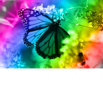 Rain Bow Squad for Life!!!