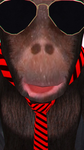 [content deleted(34674691)]