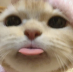 ﾟﾟ･F4IRYT4LES ﾟﾟ･