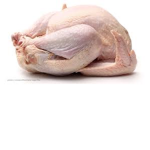 ChÍcken