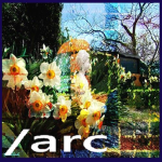 /arc