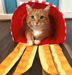 catsarecoollolmeow