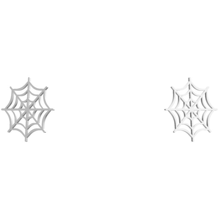 Halloween Spider Web Dual Hair Clips 🕸️