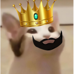 PopCatCultz