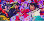 Isabela fan group or (Isabella)