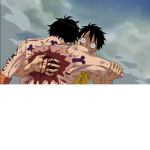 one piece_fans