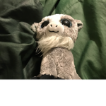 Scary goat