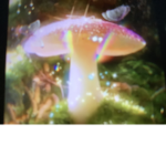 Mushroom group!!