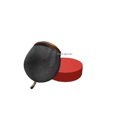 Cannon egg morph