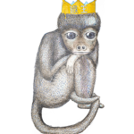 Monkey kingom