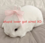 /333