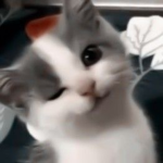 Valkemie