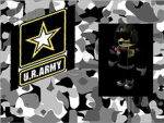 U.R. Army Division