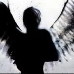 wings