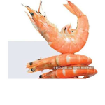 Shrimps rule