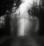 illusion world