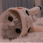 ! <3.