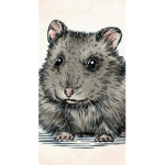 Hamsters color