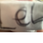 The Lel/best friends group