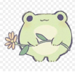 My frog closet