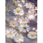 The Flower Someone
