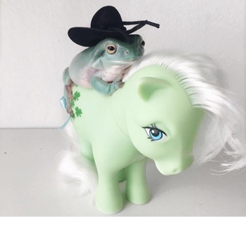 Sit And Wait Until Death.