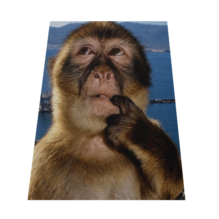 Thinking Monkey Cape