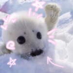  (̨̡,,´•꒳•´,,)̧̢