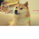 The Doge Squad Corp