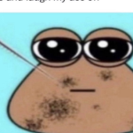 ᴛᴏʀɪ'ꜱ ᴄʟᴏᴛʜᴇꜱ