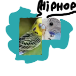 lilhiphopdevelop