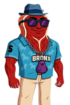 BRONX Treasury
