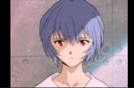 Rei Daily