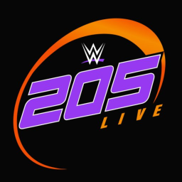WWE (Raw) Wrestling Arena