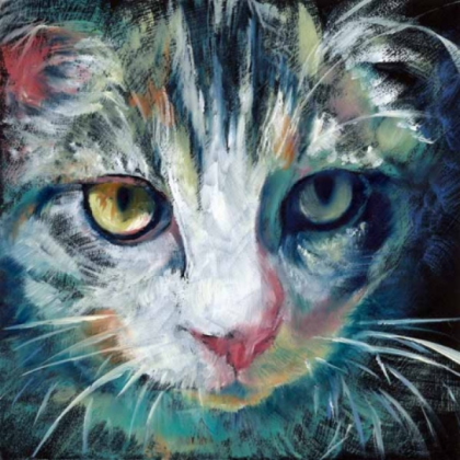 Cat Painting Roblox decal