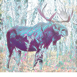 the moose den