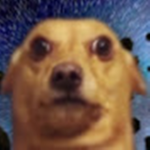 doggod army